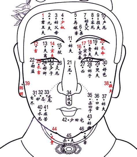 女性痣|女性面相痣详解